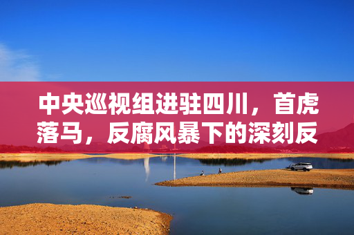 中央巡视组进驻四川，首虎落马，反腐风暴下的深刻反思