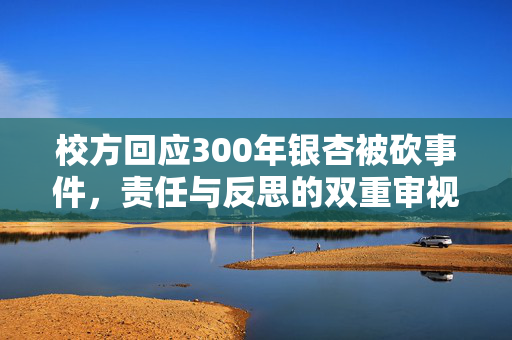 校方回应300年银杏被砍事件，责任与反思的双重审视